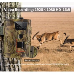 Ht-001b 1080p Outdoor Impermeabile Wild Animal Infrared Thermal Night Vision Hunting Trail Camera