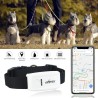 Mini LOCALIZZATORE CANE SATELLITARE GPS TRACKER  GSM GPRS ANIMALI AUTO GPS CANI